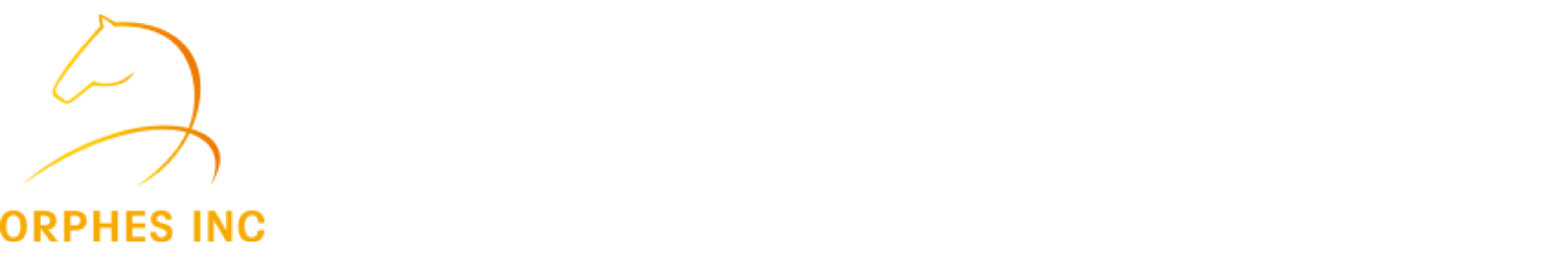 競合に負けないWEB集客をゼロから創る｜オルフェス株式会社